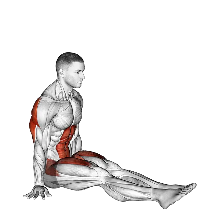 V-Sit on Floor exercise animation (Male)