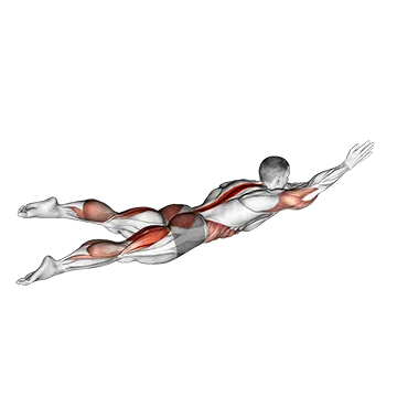 Swimmer Kicks (VERSION 2)