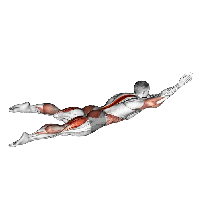 Swimmer Kicks (VERSION 2) exercise animation (Male)