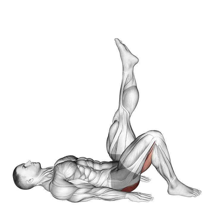 Single Leg Hip Bridge (straight leg) exercise animation (Male)