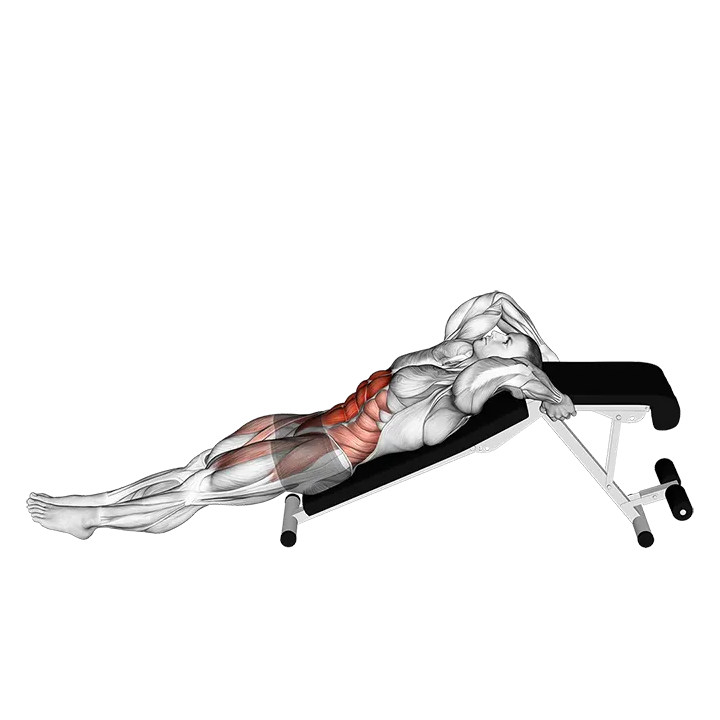 Decline Leg Hip Raise exercise animation (Männlich)