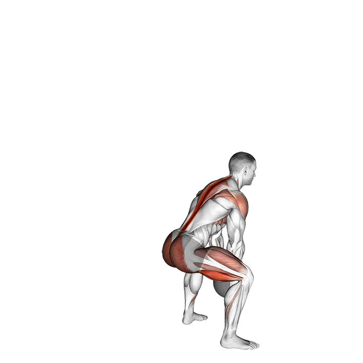 Medicine Ball Backward Throw exercise animation (Male)