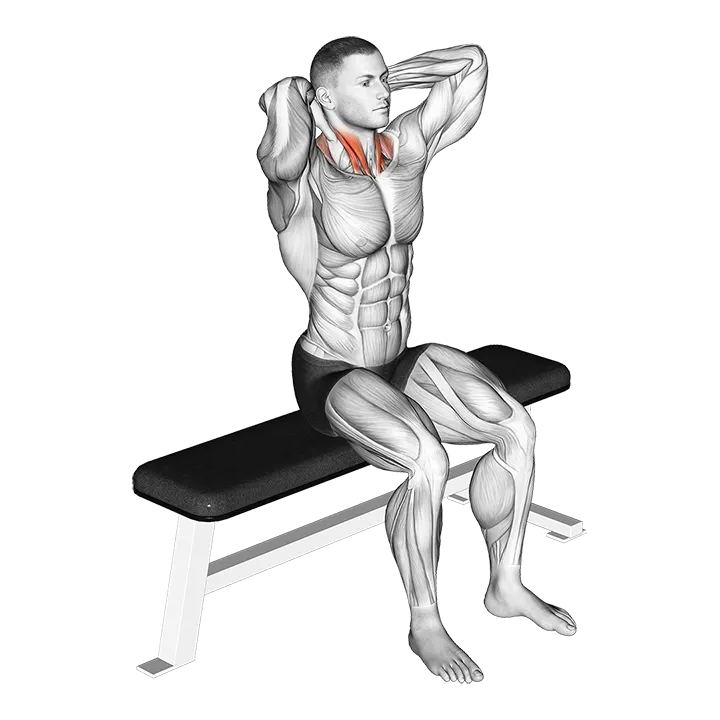 Seated Flexion And Extension Neck exercise animation (Male)