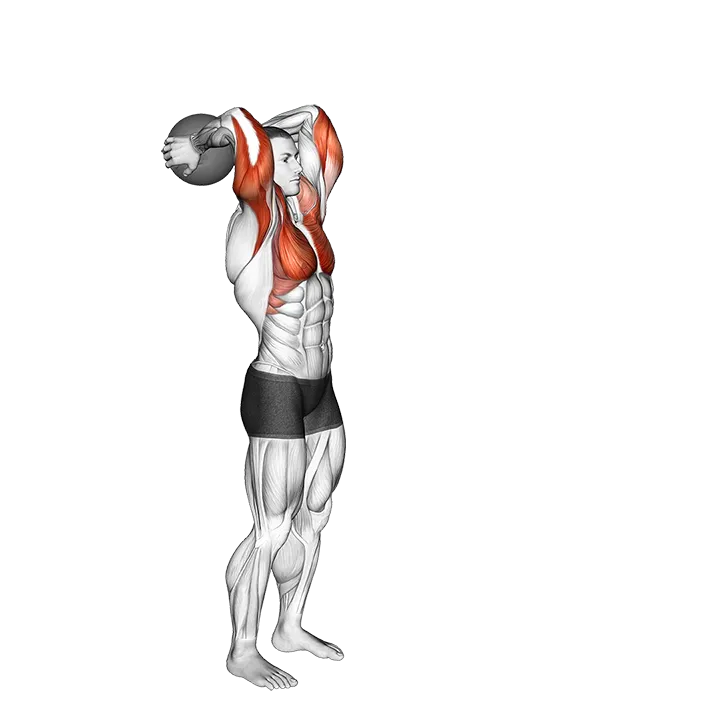 Medicine Ball Standing Overhead Throw exercise animation (Male)