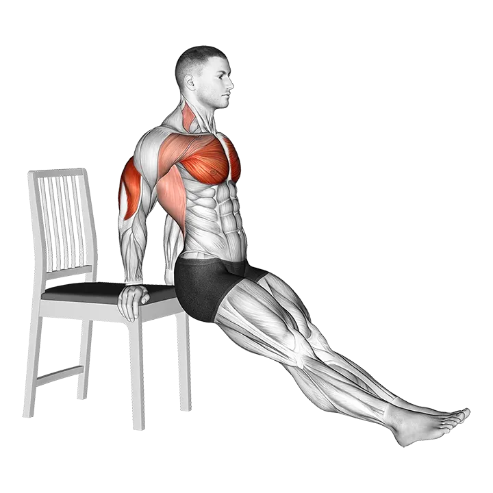 Dip on Floor with Chair exercise animation (Male)