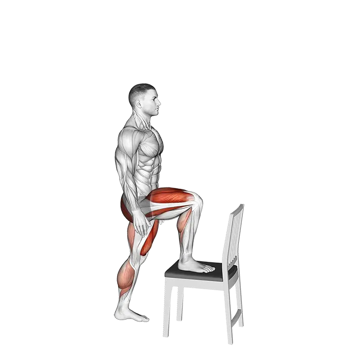 Step-up on Chair exercise animation (Male)