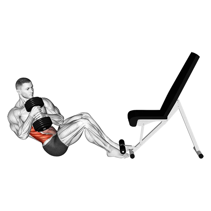 Dumbbell Russian Twist exercise animation (Male)