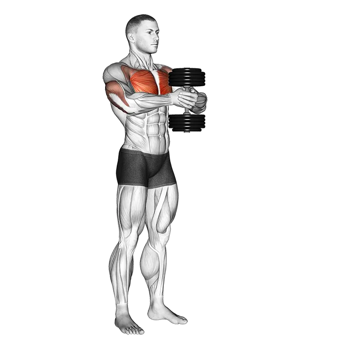 Dumbbell Svend Press exercise animation (Männlich)