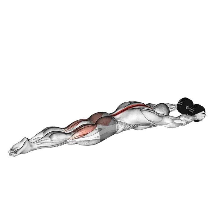 Dumbbell Superman exercise animation (Male)