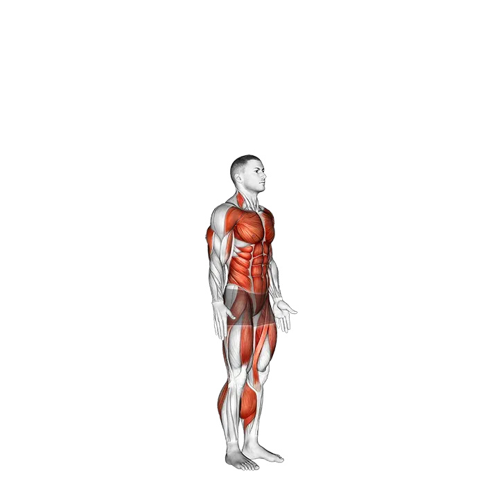 Burpee with Push-up exercise animation (Male)