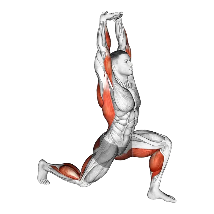 Warming-up in Lunge (one) exercise animation (Male)