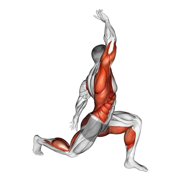 Warming-up in Lunge (two) exercise animation (Male)