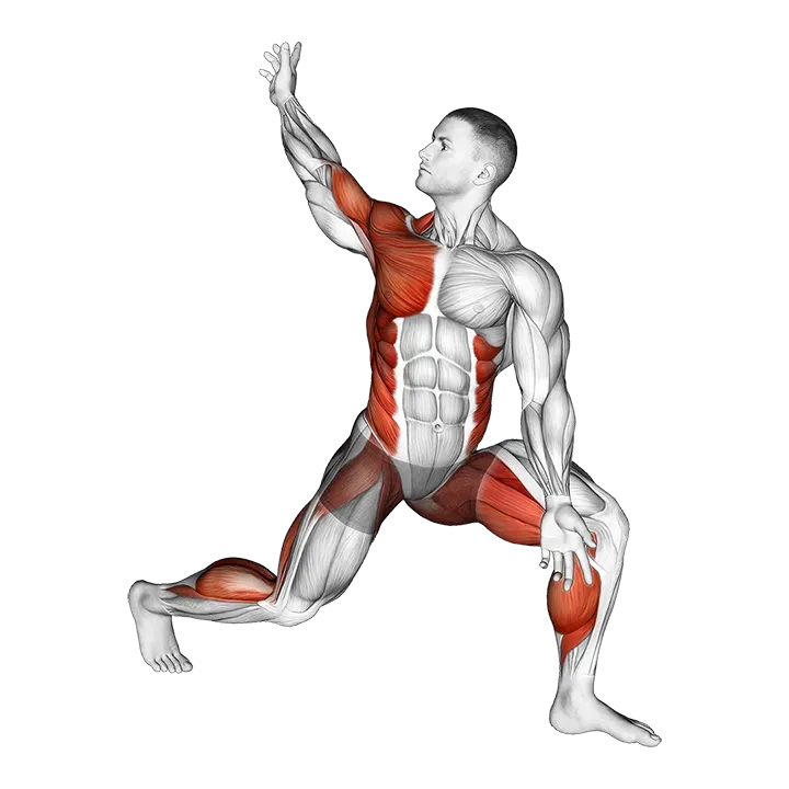 Warming-up in Lunge (three) exercise animation (Male)