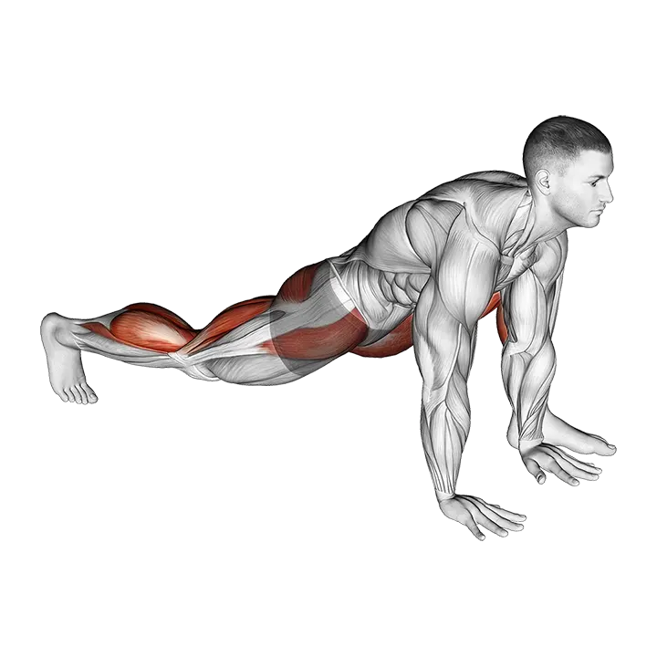 Warming-up in Lunge (four) exercise animation (Male)