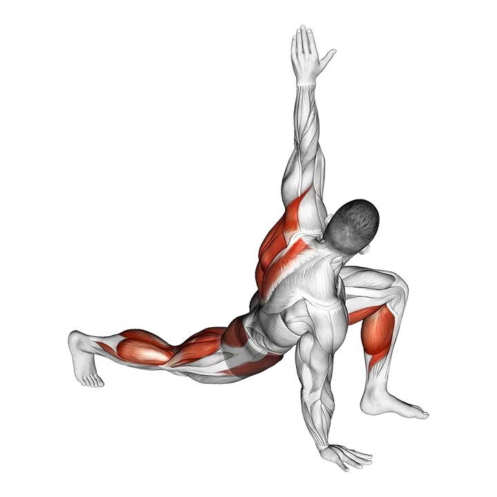 Warming-up in Lunge (five) exercise animation (Male)