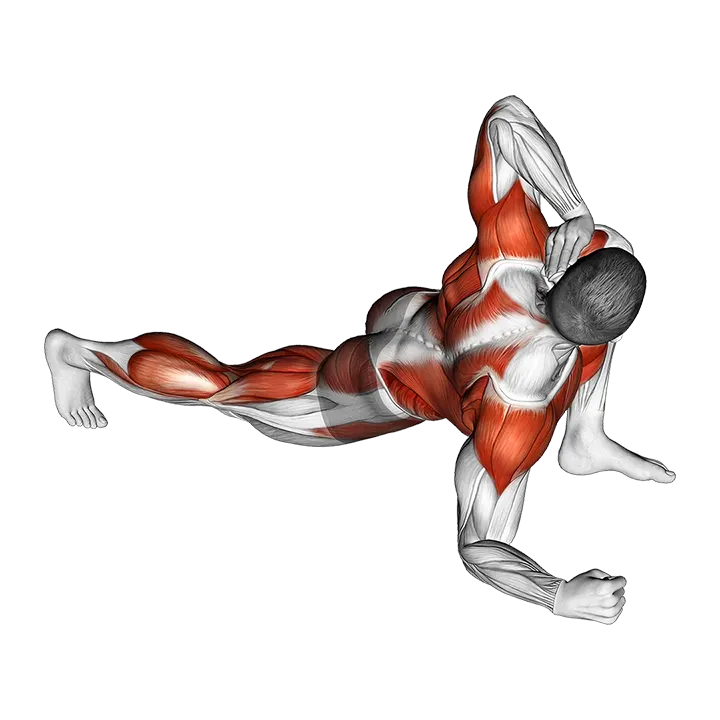 Warming-up in Lunge (seven) exercise animation (Male)