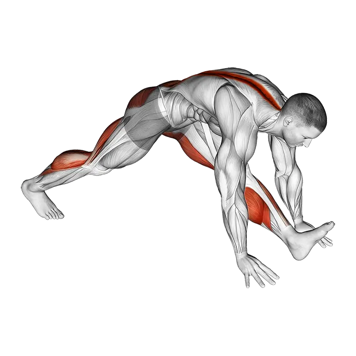 Front Hamstring Stretch exercise animation (Male)