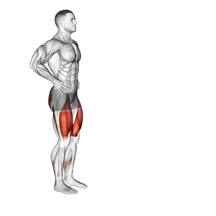 Forward Lunge exercise animation (Male)