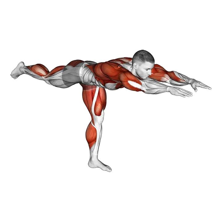Warrior Pose exercise animation (Male)