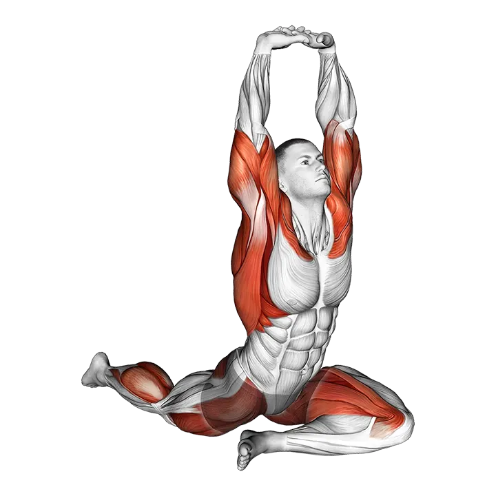 Lying Leg Tuck Hip Stretch wth Overhead Hands exercise animation (Male)