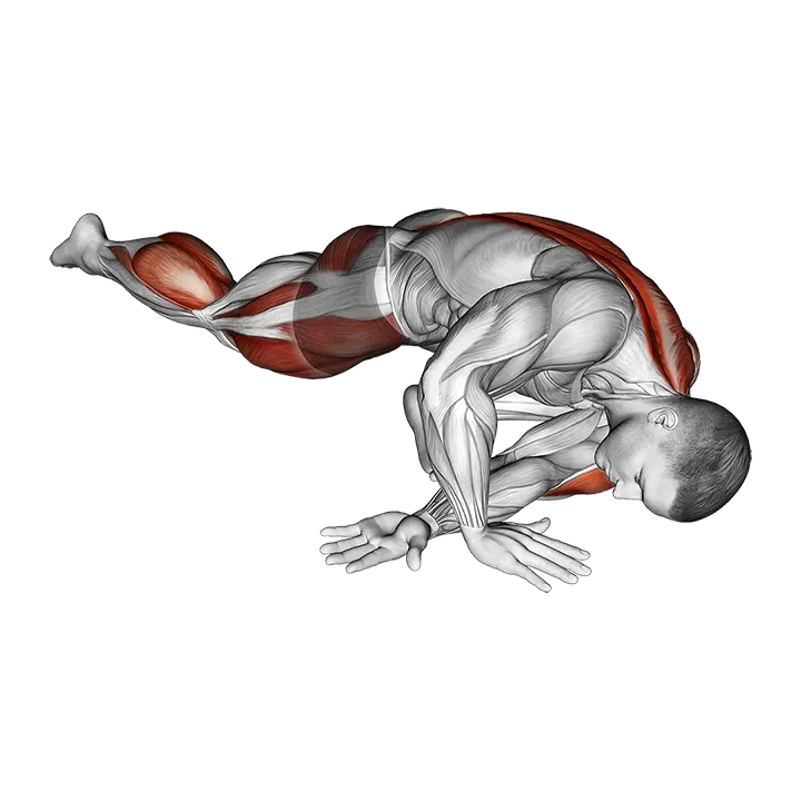 Lying Leg Tuck Hip Back to Right Stretch exercise animation (Male)