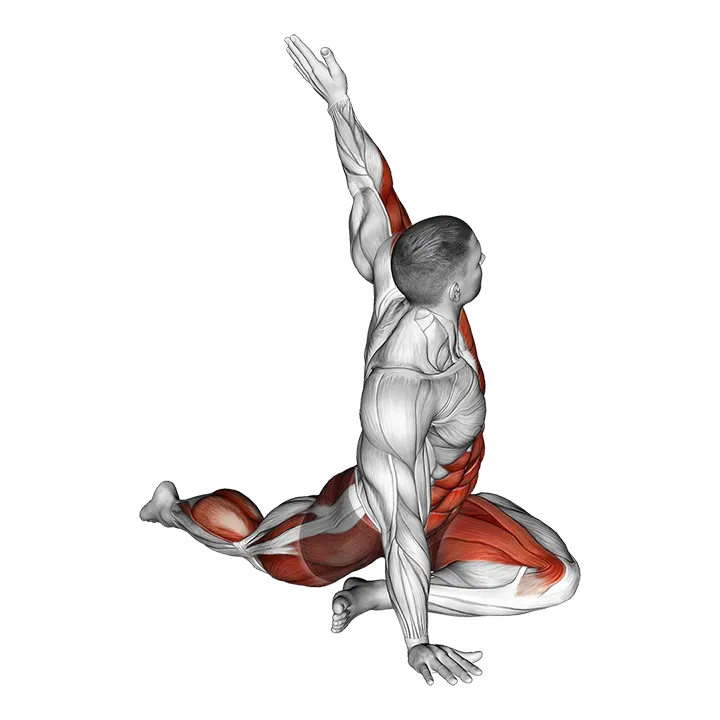 Lying Leg Tuck Hip Twist to Left Stretch exercise animation (Male)