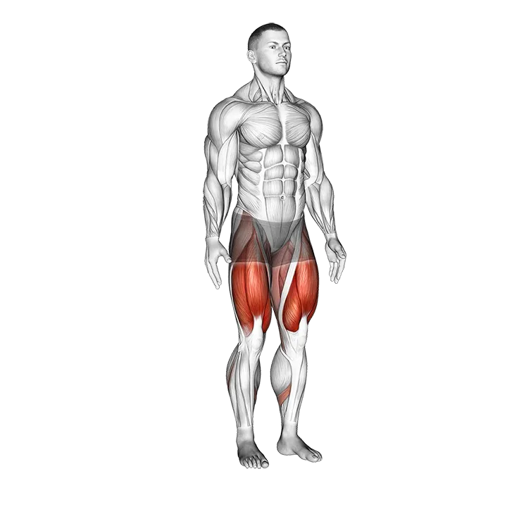 Alternate Heel Touch Side Kick Squat exercise animation (Male)