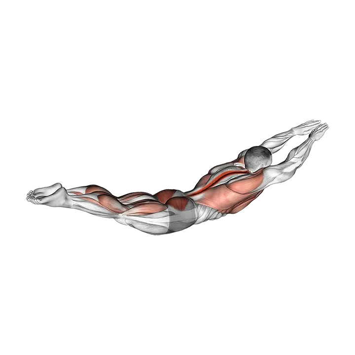 Around the World Superman Hold exercise animation (Male)