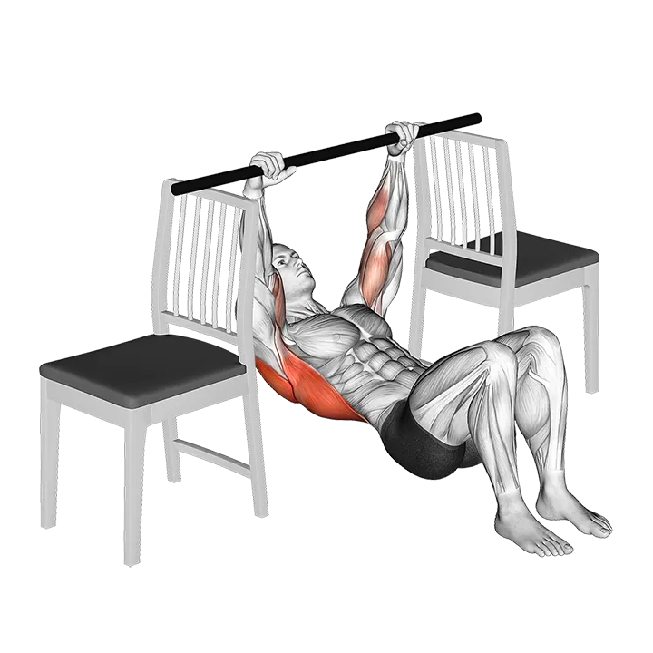 Inverted Row with Bent Knee between Chairs exercise animation (Male)