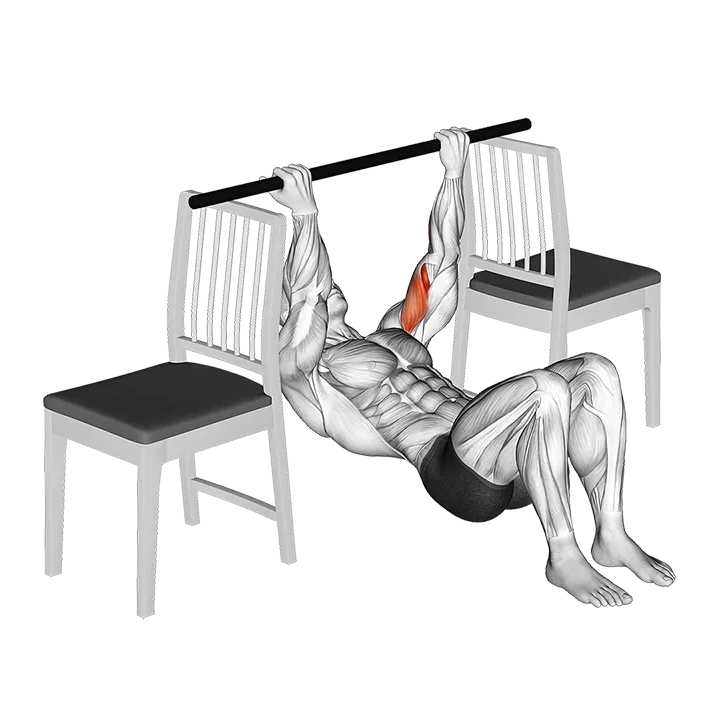 Inverted Chin Curl with Bent Knee between Chairs exercise animation (Male)