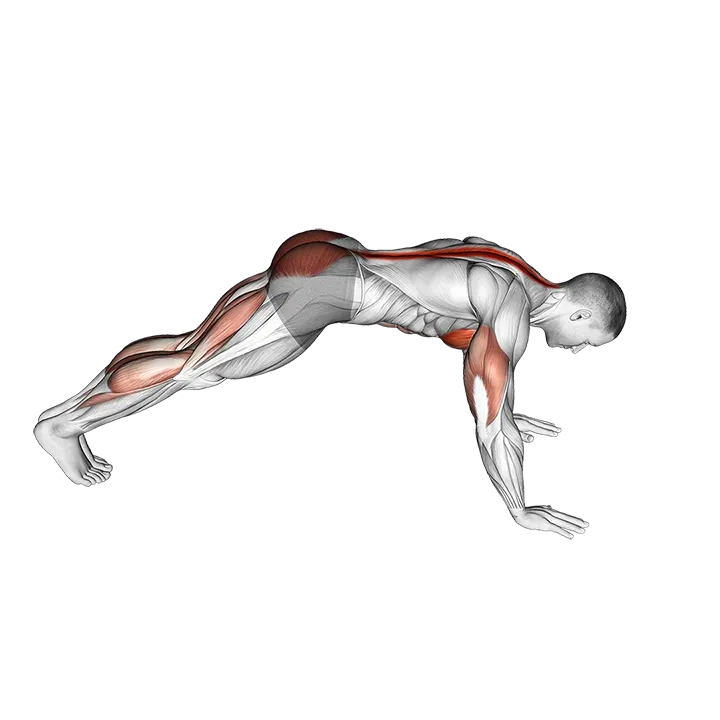 Cobra Push-up exercise animation (Male)