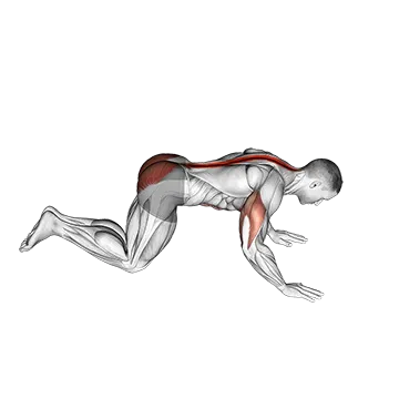 Kneeling Cobra Push-up