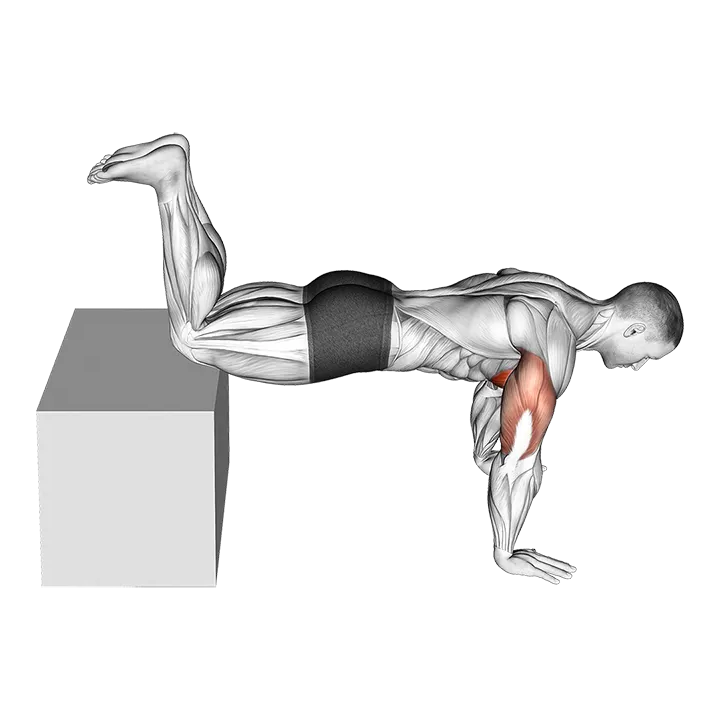 Decline Kneeling Push-up on Box exercise animation (Hombre)
