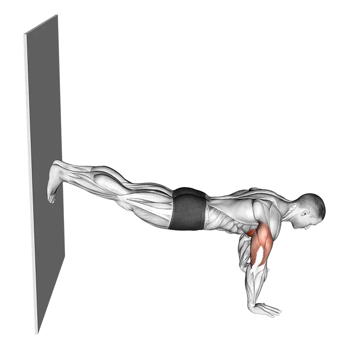 Decline Push-up against Wall exercise animation (Male)