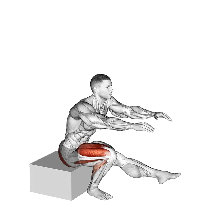 Single Leg Low Box Squat exercise animation (Male)