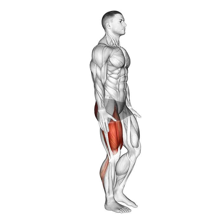 Single Leg Heel Touch Squat exercise animation (Male)