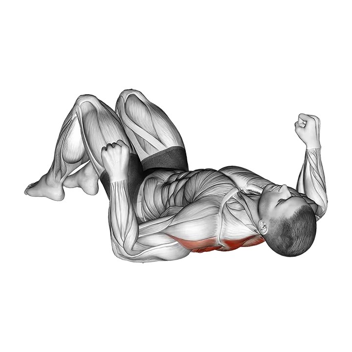 Lying Floor Row with Bent Knee exercise animation (Male)