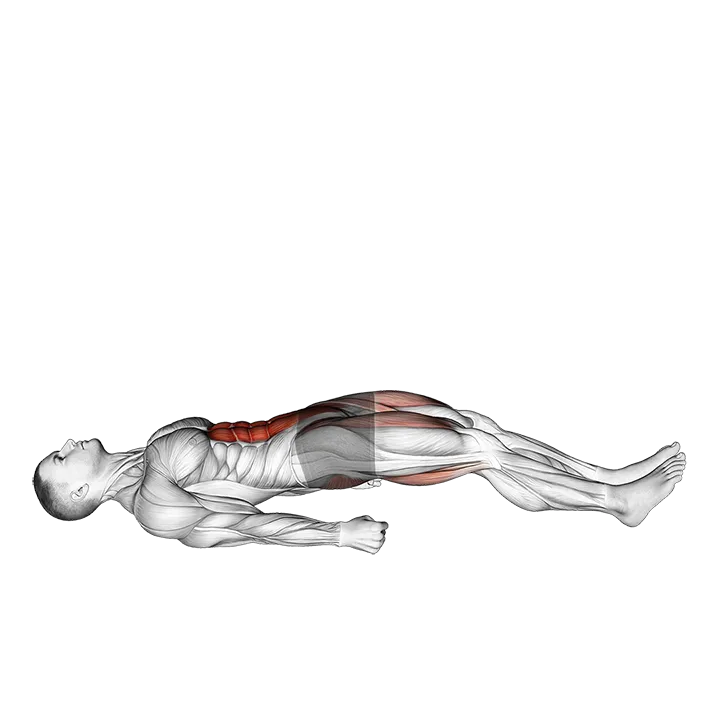 Lying Straight Leg Marches exercise animation (Male)