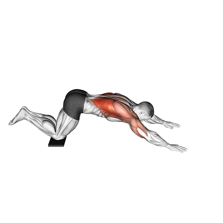 Sliding Floor Pulldown on Towel exercise animation (Male)