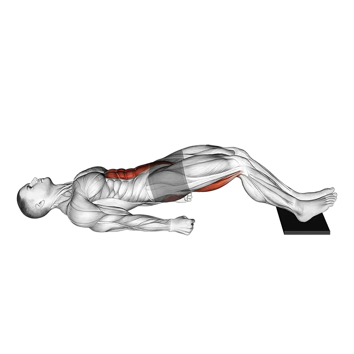 Sliding Floor Bridge Curl on Towel exercise animation (Male)