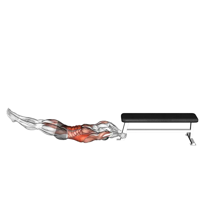 Self Assisted Inverted Pullover exercise animation (Male)