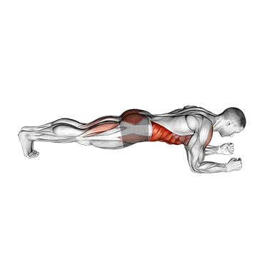 Front Plank with Leg Lift