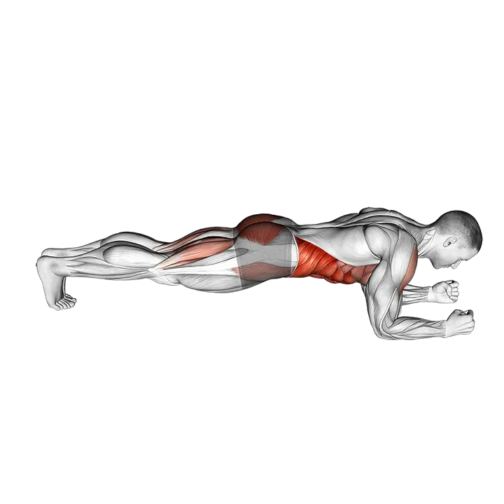 Front Plank with Leg Lift exercise animation (Male)