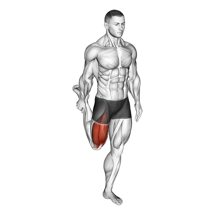 Standing Balance Quadriceps Stretch exercise animation (Male)