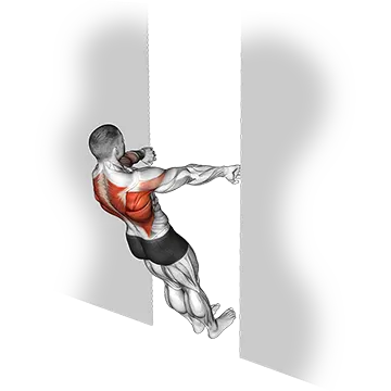 Bodyweight Row in Doorway