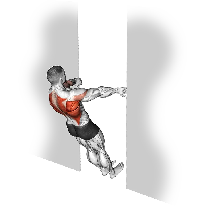 Bodyweight Row in Doorway exercise animation (Male)