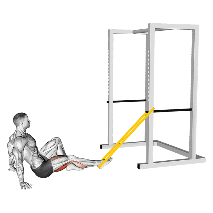 Resistance Band Seated Single Leg Curl exercise animation (Male)