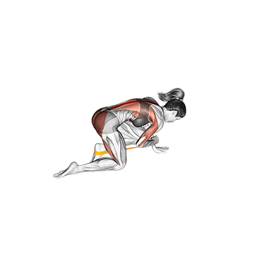 Resistance Band Bird Dog