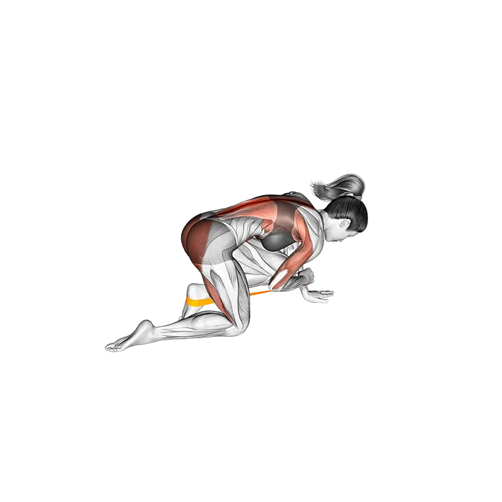 Resistance Band Bird Dog exercise animation (Mujer)
