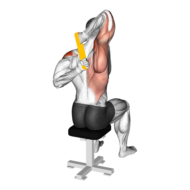 Resistance Band Shoulder Stretch Behind the Back exercise animation (Male)